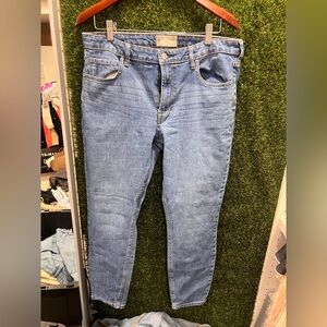 Everlane High Rise Blue Jeans with Modern Fade